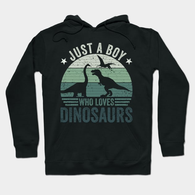 Retro Just A Boy Who Loves Dinosaurs Paleontologist Hoodie by DP Clothing